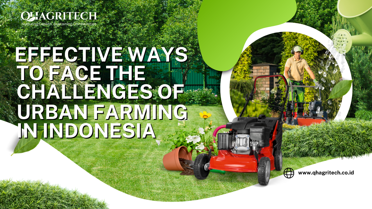 urban farming in indonesia