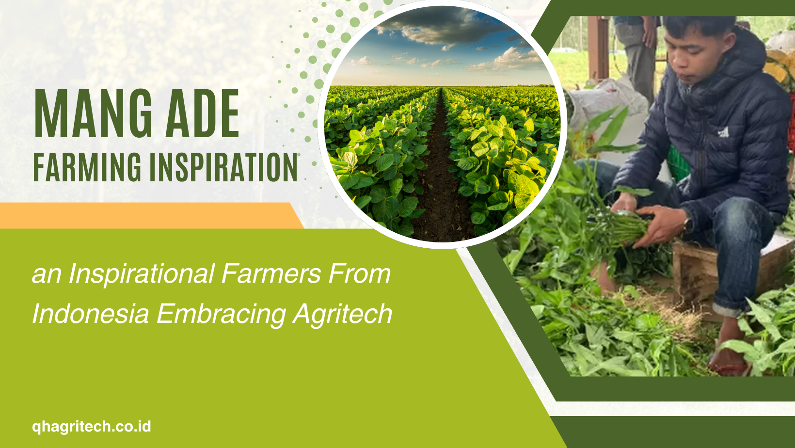 inspirational farmer embracing agritech