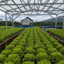 2AEAC887-6A79-4493-96F7-0E8DCE51AD9D